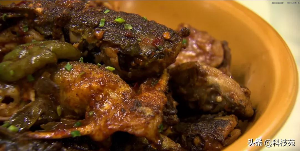 2021中國農業農村重大新產品 | 黃顙魚新品種“黃優1號”