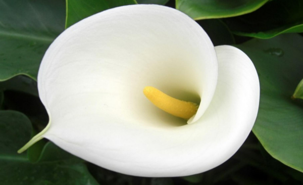 三十之後,4個星座,心眼好,善良有愛,幫助朋友毫不保留 三十之後,4個星座,心眼好,善良有愛,幫助朋友毫不保留