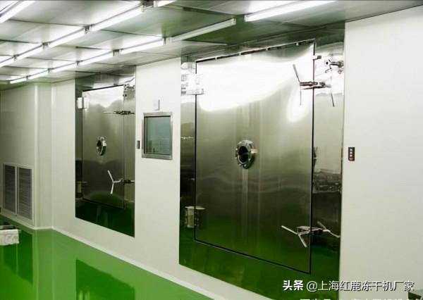 牛初乳凍幹奶粉與普通奶粉區別