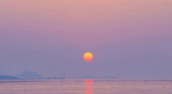 放開三胎,世相百態 放開三胎,世相百態