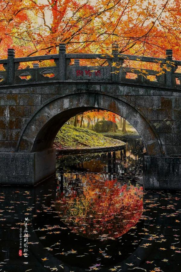 如此美豔！這裡的“楓”景值得去打卡