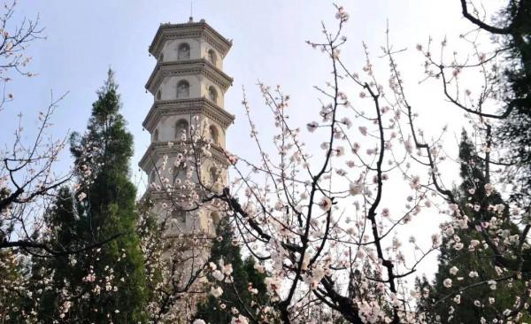 翔海集團:四季美景醉人心!龍口這個地方,一年四季都這麼美 翔海集團:四季美景醉人心!龍口這個地方,一年四季都這麼美