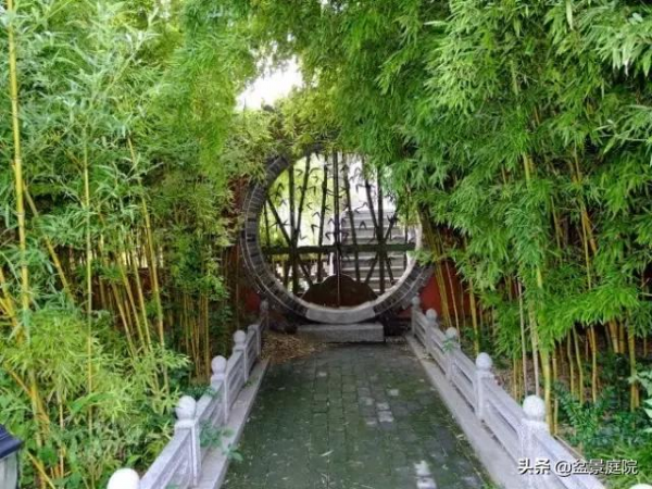 家有竹園，這才是極具風雅之事