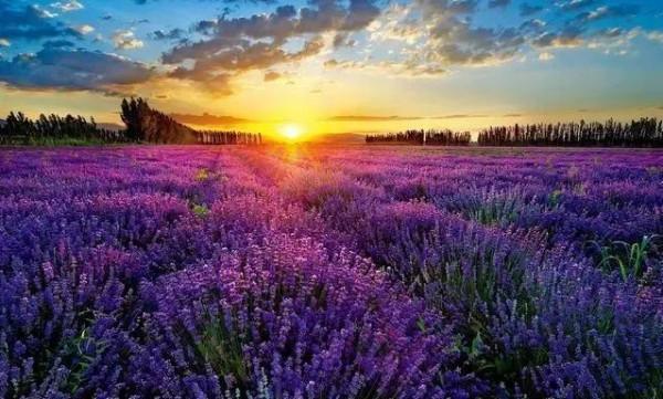 推薦8個涼爽的景點，暑假帶著孩子一起去旅行吧……