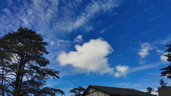 峨眉山之行(建議大家收藏,攻略寫在最後) 峨眉山之行(建議大家收藏,攻略寫在最後)