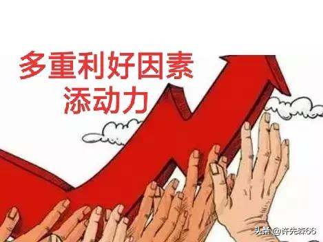 豬價“沖天”上漲,多重利好因素“添動力”,豬價漲至10元不是夢 豬價“沖天”上漲,多重利好因素“添動力”,豬價漲至10元不是夢