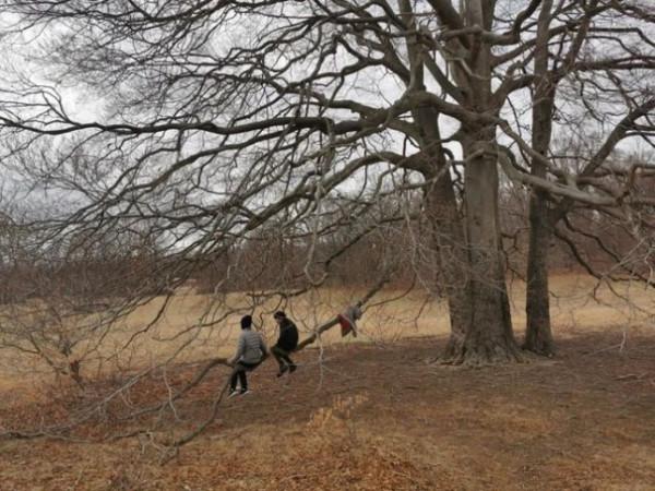讀書|周國平:她被文學附了魂,她不過碰巧是我的妻子罷了 讀書|周國平:她被文學附了魂,她不過碰巧是我的妻子罷了