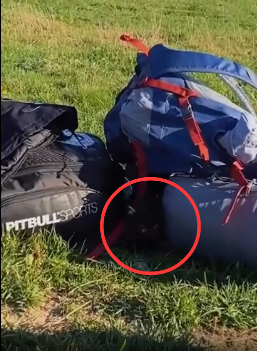 旅遊者們遇到一隻流浪貓，陪他們跋山涉水，最後被他們帶回了家