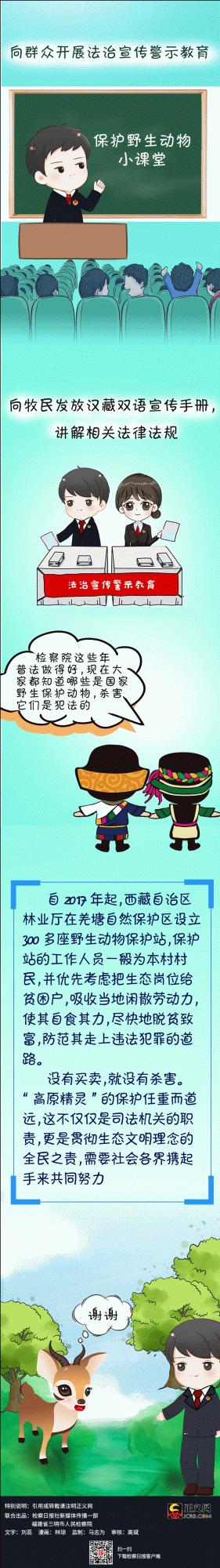 為了藏羚羊的微笑｜世界動物日