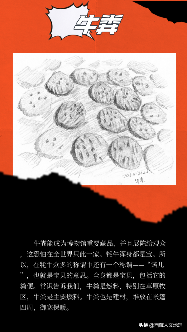 去犛牛博物館前，先收藏這篇文章