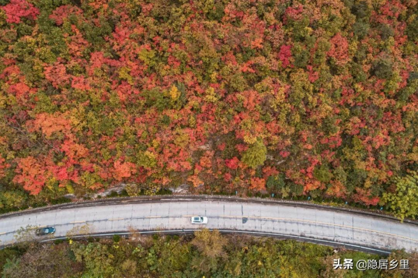秦嶺紅葉房開售 | 一座座山間小屋，藏著秦嶺最美的秋