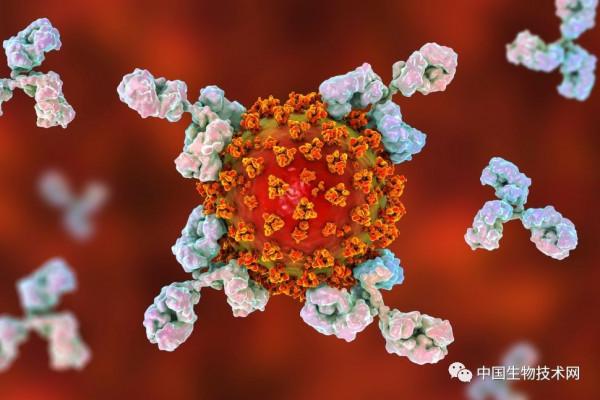 小差異,大影響!我們的免疫系統就像DNA和指紋一樣獨一無二 小差異,大影響!我們的免疫系統就像DNA和指紋一樣獨一無二