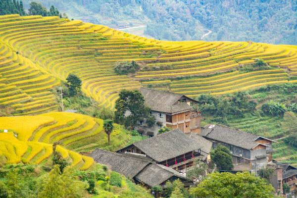 農民單幹40年，搞集體化，農民還能不能走到一起？