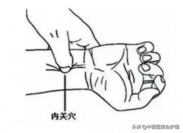 「經絡養生科普」十二經筋/經絡之手厥陰（心包）筋經