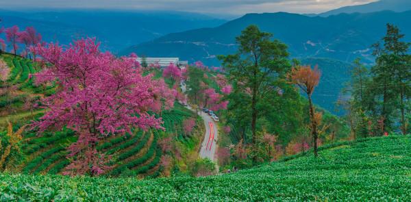 推薦8個國內適合12月旅行的目的地，再給自己安排一場旅行吧