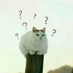 這些你從小聽到大的“妙招”，到底靠不靠譜？