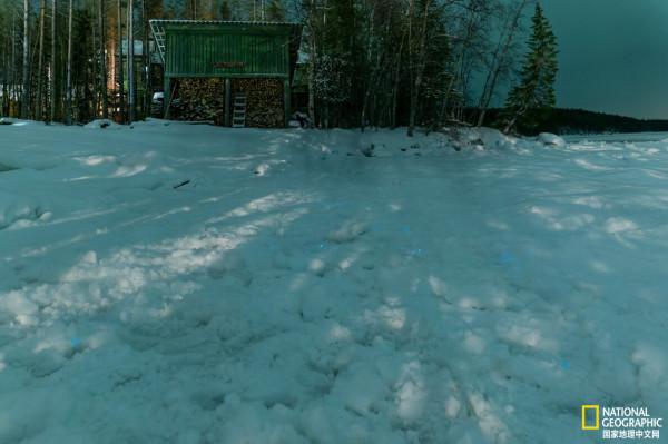 哇偶！這裡的雪地會發光