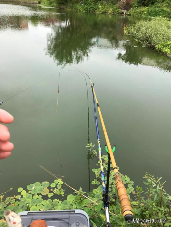 冬季都知道有草好釣魚，但碰到這種草千萬別下竿，有魚也釣不到