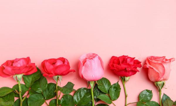 英國人：我們最大的秘訣，是攪屎棍的煉成方法