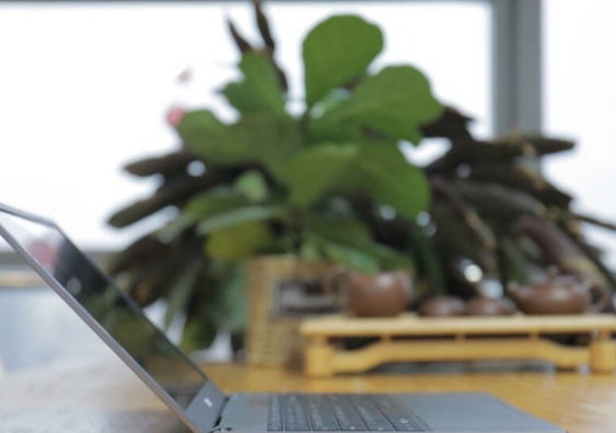 商務輕薄本：臺電閃電之翼的T&period;BOLT10 DG