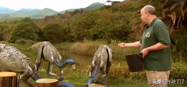 肉食恐龍大盤點：馳龍科（下盤點）