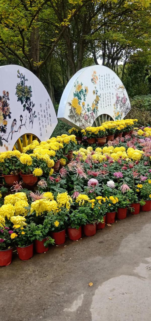 植物園一遊 植物園一遊