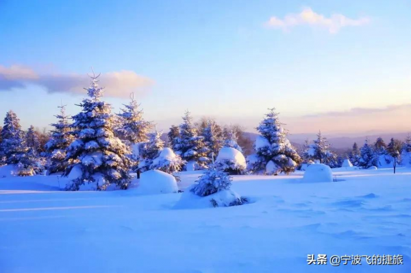 美國黃石的13倍！我國首批國家公園正式官宣，驚豔世界的風景來了