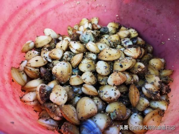 環海南親子5天4夜趕海行程：共享寒假時光