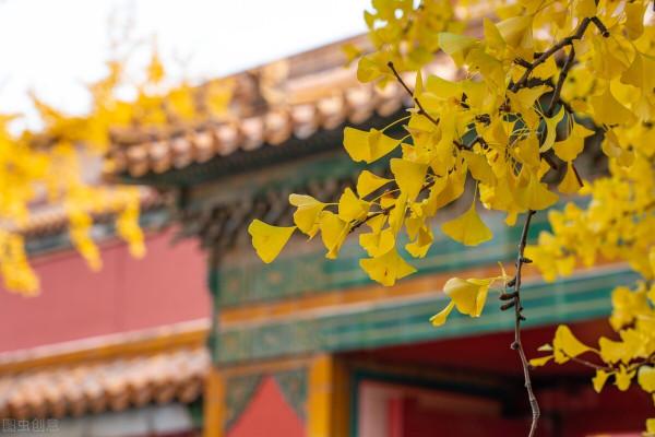 同為廢太子胤礽的兒子,為何弘晳被乾隆趕出宗室,弘㬙成為郡王? 同為廢太子胤礽的兒子,為何弘晳被乾隆趕出宗室,弘㬙成為郡王?