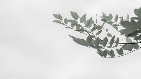 人到中年:笑看一切 人到中年:笑看一切