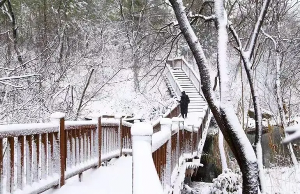 詩情畫意三臺山,美了季節,醉了歲月! 詩情畫意三臺山,美了季節,醉了歲月!