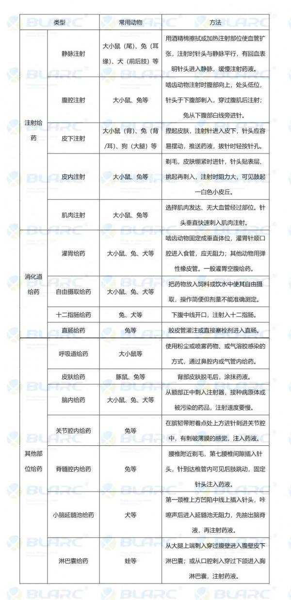 實驗動物常見給藥途徑 實驗動物常見給藥途徑