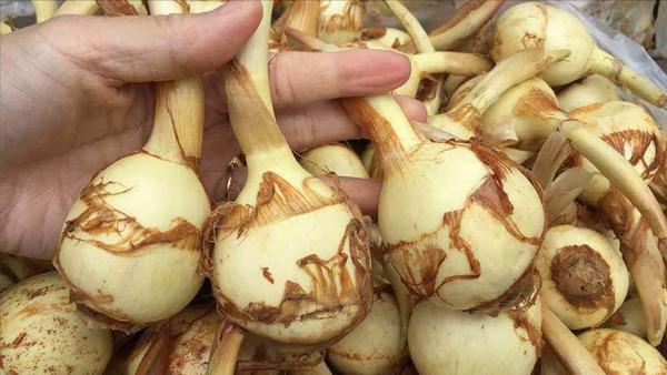 入深秋,別忘記吃“江南水八仙”,健脾祛溼、養心潤肺,舒服過秋 入深秋,別忘記吃“江南水八仙”,健脾祛溼、養心潤肺,舒服過秋