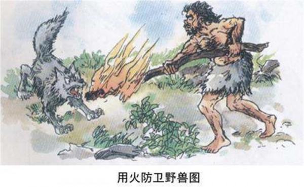 人類還是獵食動物嗎?營養級不足2.5,在鳳尾魚和豬之間!真的嗎 人類還是獵食動物嗎?營養級不足2.5,在鳳尾魚和豬之間!真的嗎