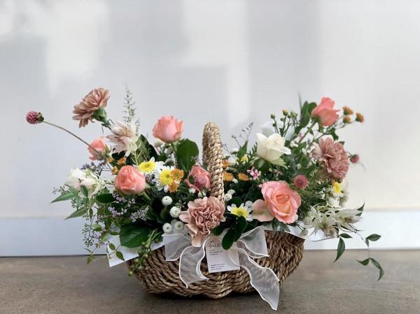 最推薦你買的花——小菊