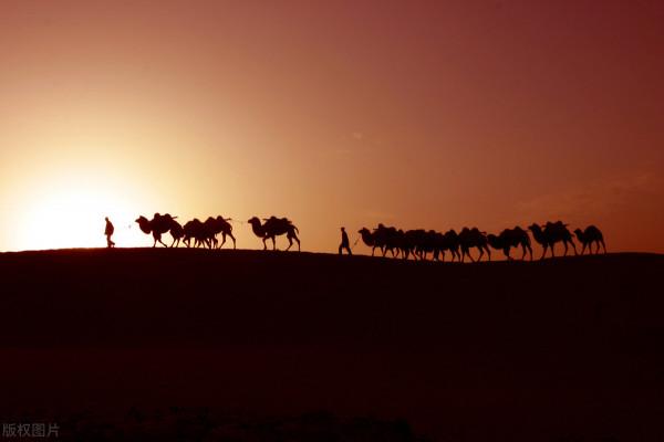 大自然之美——大漠