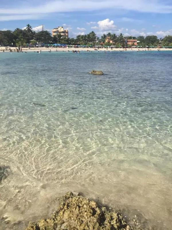 ＃金粉社群＃這是什麼大頭龍蝦！傳說中神秘的“加勒比海”