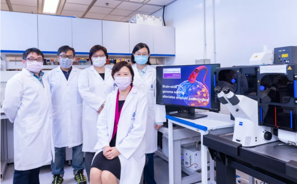 港科大團隊開發全腦基因編輯技術,已驗證可改善小鼠AD症狀 港科大團隊開發全腦基因編輯技術,已驗證可改善小鼠AD症狀