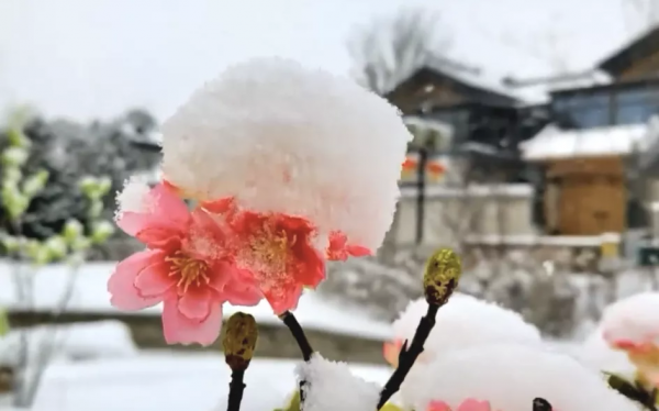 河北周邊冰雪遊：瑞雪迎春，冰雪小鎮雪景美如畫