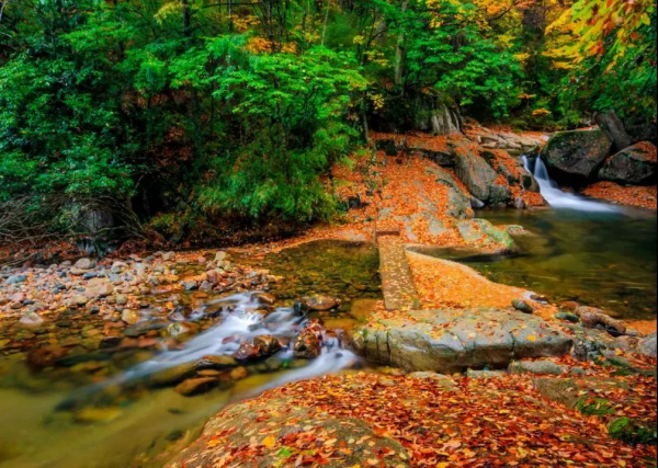 紅葉最佳觀賞期！這些地方全都美成了仙境，趕緊出發