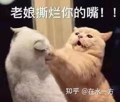 你有什麼建議給女孩子嗎? 你有什麼建議給女孩子嗎?