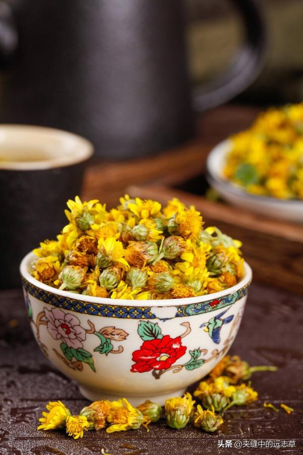 目昏，目幹，迎風愛流淚？送你八味中藥，養心神，補肝腎