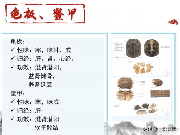 養生中藥精選 養生中藥精選