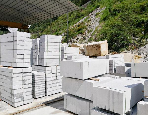 廣東富豪王金城：初中學歷身價300多億，卻50歲正當年患病早逝