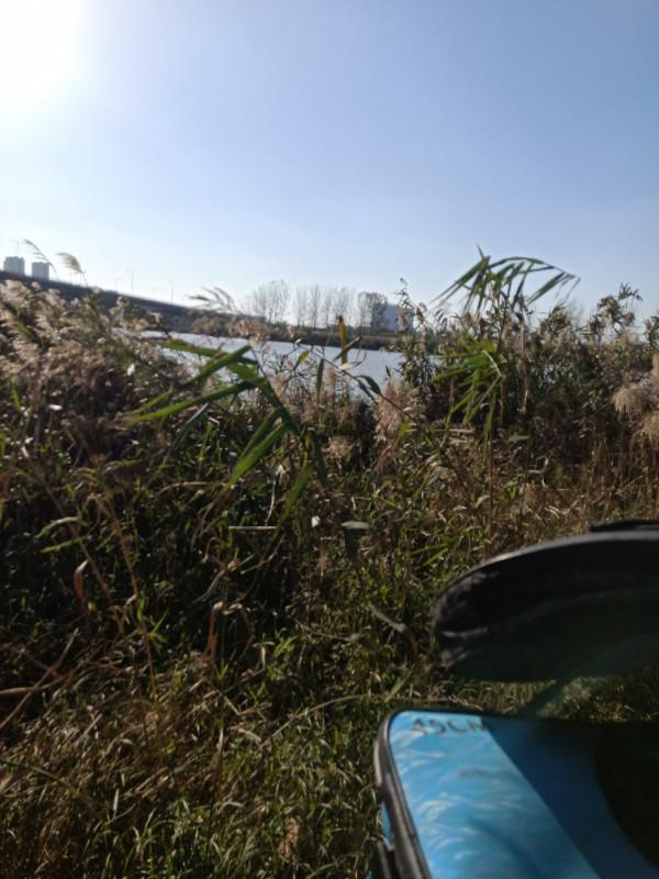 「雙11」開著電驢去釣魚,結果身心疲憊,聽我細細道來…… 「雙11」開著電驢去釣魚,結果身心疲憊,聽我細細道來……