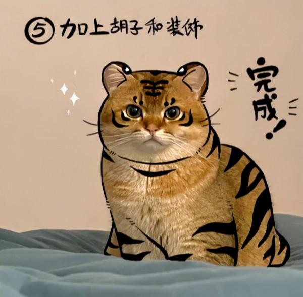 照貓畫虎~誰還不是個小腦斧啦？