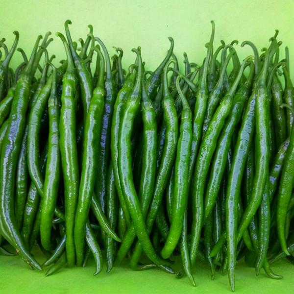 辣椒醬這樣做,做一次吃一年也不會壞 辣椒醬這樣做,做一次吃一年也不會壞