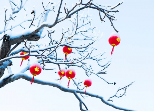 車神架“下雪了”！冰雪樂園玩瘋了