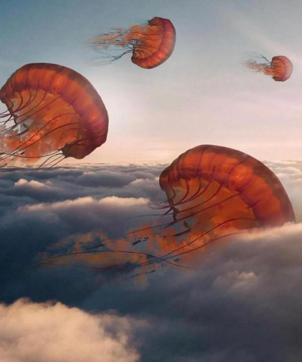 讓巨物愛好者狂喜