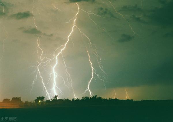 10個有趣的動物冷知識,其中有一個動物很多人喜歡的 10個有趣的動物冷知識,其中有一個動物很多人喜歡的